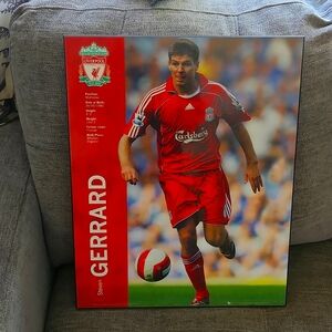 gerrard hard photo !